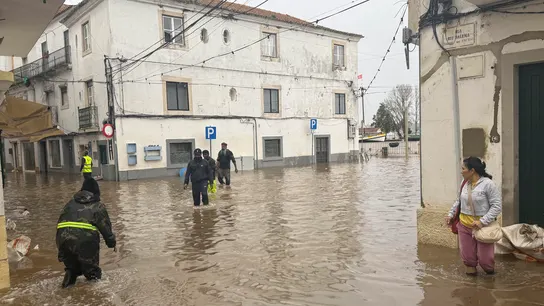 Imagen del municipio Alcácer do Sal, en Setúbal Imagen del municipio Alcácer do Sal, en Setúbal
