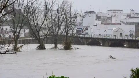 Vista del río Guadalete a su paso por Arcos de la Frontera Vista del río Guadalete a su paso por Arcos de la Frontera