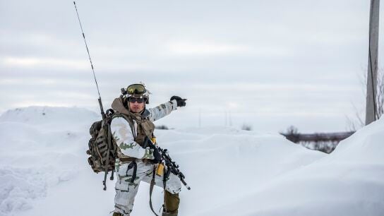 Soldado groenland&eacute;s