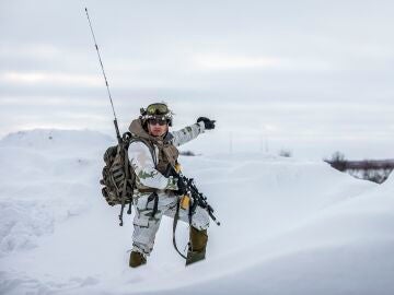 Soldado groenland&eacute;s