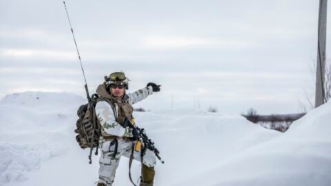 Soldado groenland&eacute;s