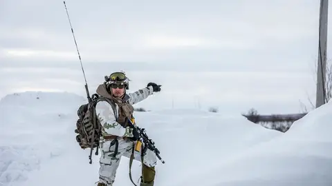 Soldado groenlandés Soldado groenlandés