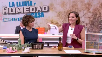 Lluvia, humedad y moho: Boticaria García nos cuenta cómo deshacernos del enemigo invisible que empeora las alergias Lluvia, humedad y moho: Boticaria García nos cuenta cómo deshacernos del enemigo invisible que empeora las alergias