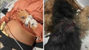 La embarazada y su perro tras el ataque