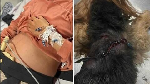 La embarazada y su perro tras el ataque