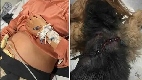 La embarazada y su perro tras el ataque La embarazada y su perro tras el ataque