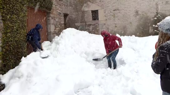 Nieve