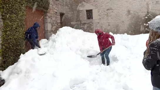 Nieve Nieve