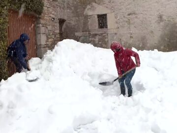 Nieve