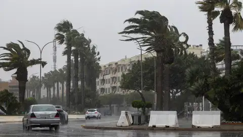 Imagen del temporal Imagen del temporal
