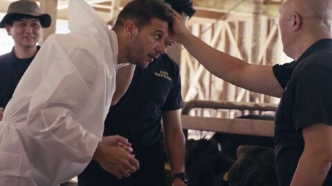 La propuesta de Joaqu&iacute;n a un japon&eacute;s