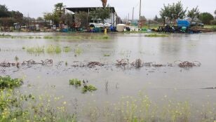 Imagen de explotaciones agr&iacute;colas inundadas 