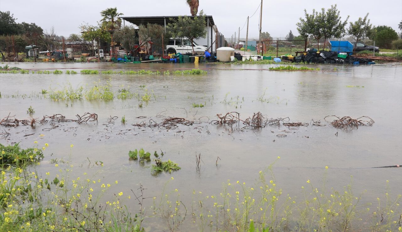 Imagen de explotaciones agr&iacute;colas inundadas 