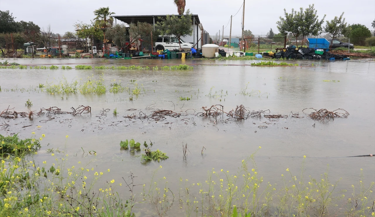 Imagen de explotaciones agrícolas inundadas