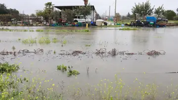 Imagen de explotaciones agrícolas inundadas Imagen de explotaciones agrícolas inundadas