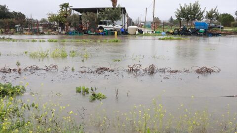 Imagen de explotaciones agr&iacute;colas inundadas 