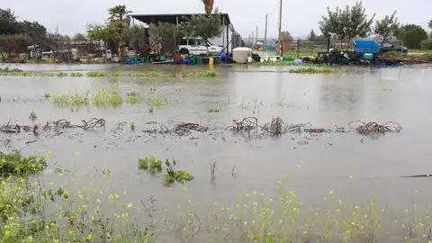 Imagen de explotaciones agrícolas inundadas Imagen de explotaciones agrícolas inundadas