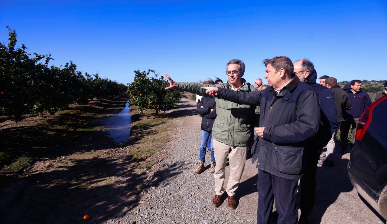 El Ministro de Agricultura, Pesca y Alimentaci&oacute;n, Luis Planas, visita una explotaci&oacute;n de c&iacute;tricos afectada por la inundaciones