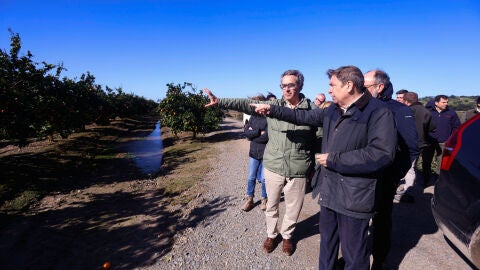 El Ministro de Agricultura, Pesca y Alimentaci&oacute;n, Luis Planas, visita una explotaci&oacute;n de c&iacute;tricos afectada por la inundaciones