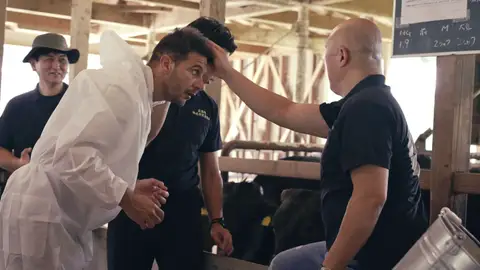 Dos vacas a cambio de un injerto capilar: Joaquín intenta cerrar un trato con los criadores de wagyū Dos vacas a cambio de un injerto capilar: Joaquín intenta cerrar un trato con los criadores de wagyū