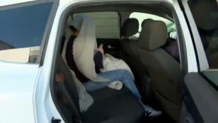 Declara una trabajadora de la 'guarder&iacute;a de los horrores' de Algemes&iacute;