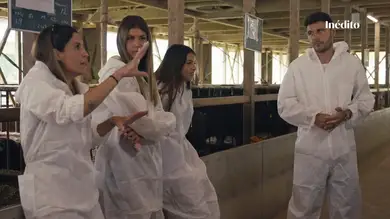 VÍDEO INÉDITO: Joaquín y su familia descubren cómo viven las vacas de Wagyu VÍDEO INÉDITO: Joaquín y su familia descubren cómo viven las vacas de Wagyu