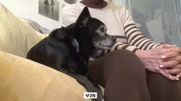 Consuelo de 71 años ha dejado toda su herencia a su perra Mulán Consuelo de 71 años ha dejado toda su herencia a su perra Mulán