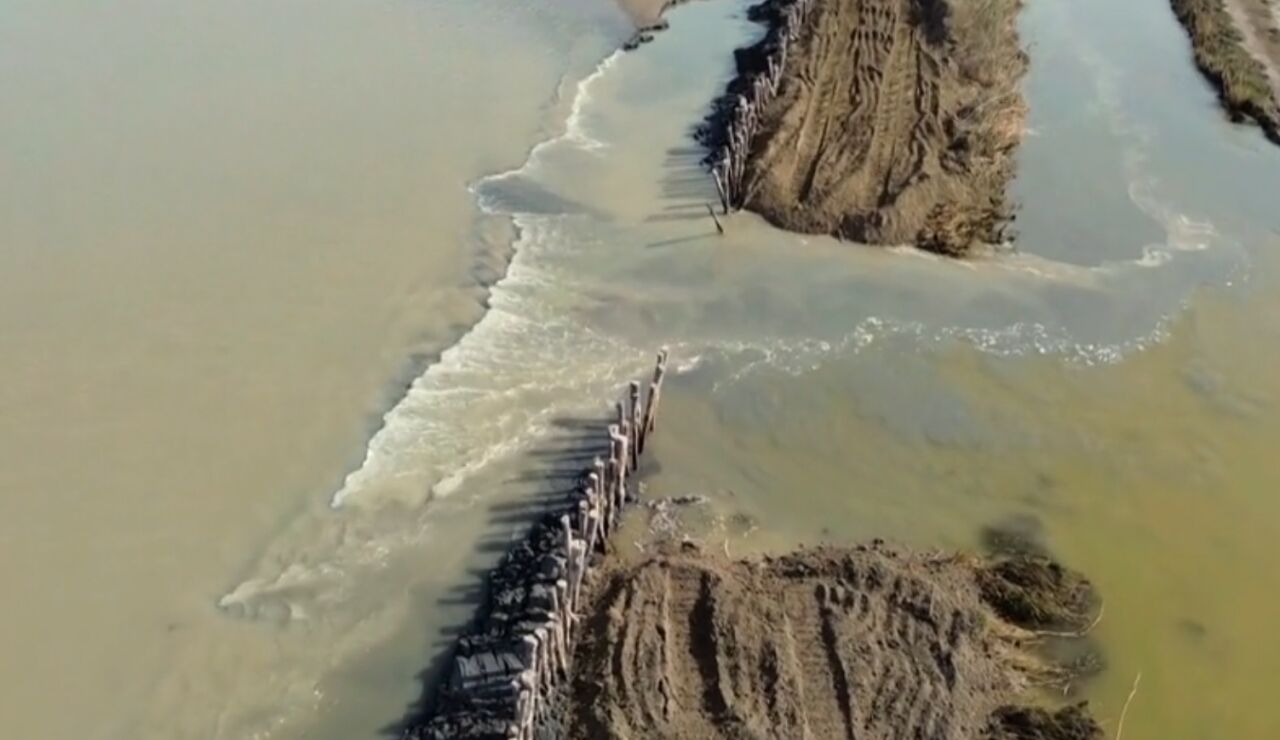 Imagen de archivo de los arroceros del Delta.