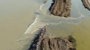 Imagen de archivo de los arroceros del Delta. Imagen de archivo de los arroceros del Delta.