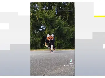 La fiebre de los Therians llega a España La fiebre de los Therians llega a España