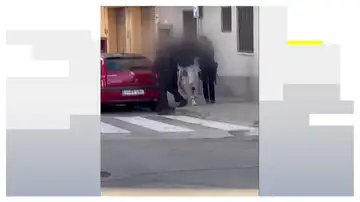Un hombre asesina a su vecino a puñaladas en Benimàmet, Valencia Un hombre asesina a su vecino a puñaladas en Benimàmet, Valencia