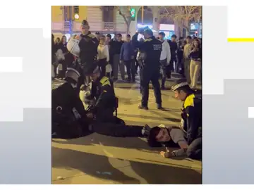 Detenidos en Barcelona en una concentración de therians Detenidos en Barcelona en una concentración de therians