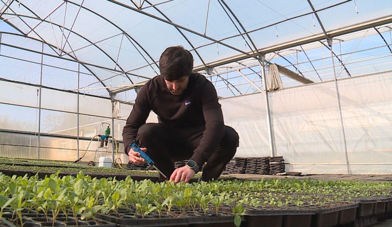 Imagen de archivo de un trabajador del campo gallego.