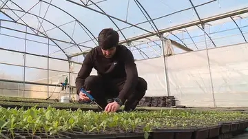 Imagen de archivo de un trabajador del campo gallego. Imagen de archivo de un trabajador del campo gallego.