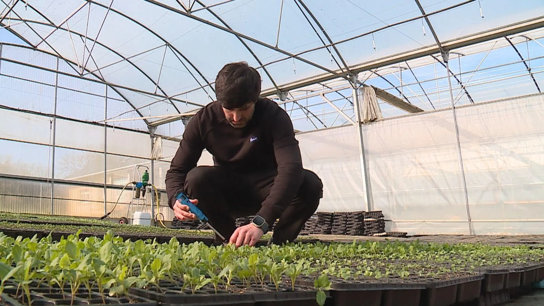 Imagen de archivo de un trabajador del campo gallego. Imagen de archivo de un trabajador del campo gallego.