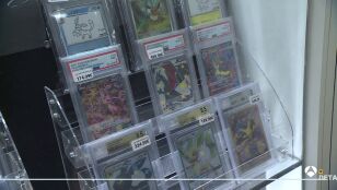 La carta Pok&eacute;mon m&aacute;s cara de la historia: m&aacute;s de 16 millones de euros