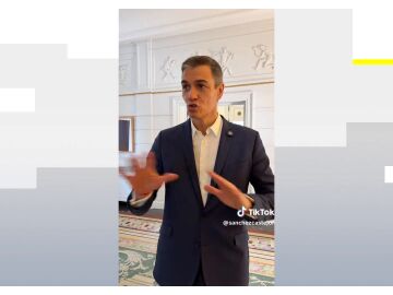 Pedro S&aacute;nchez