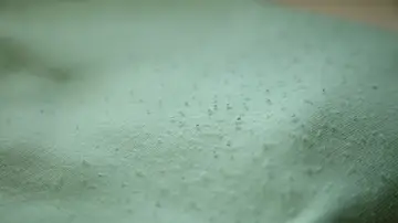 Cómo quitar las pelotillas de la ropa sin dañarla Cómo quitar las pelotillas de la ropa sin dañarla