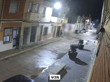 V&Iacute;DEO: Un perro consigue que el secuestrador de su due&ntilde;a acabe huyendo en Valencia