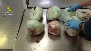 La Guardia Civil interviene 15 pangolines muertos en Barajas