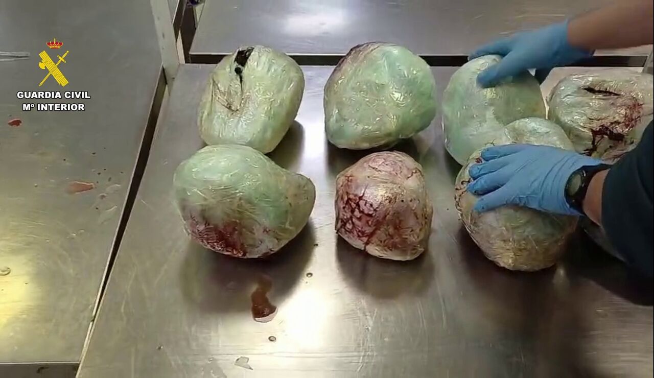 La Guardia Civil interviene 15 pangolines muertos en Barajas