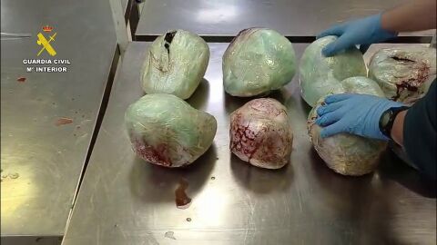 La Guardia Civil interviene 15 pangolines muertos en Barajas