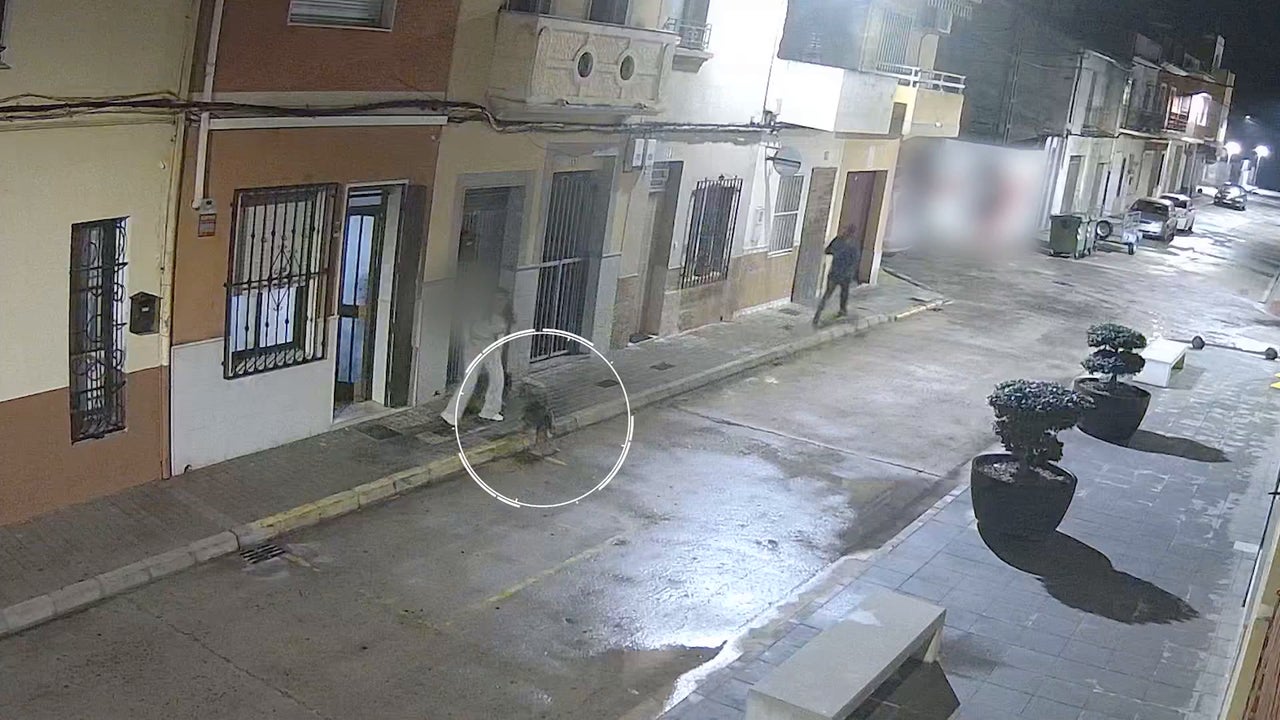 mordieron a un atacante y propiciaron su detención mordieron a un atacante y propiciaron su detención