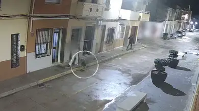 Los perros de una mujer evitaron su secuestro: mordieron a un atacante y propiciaron su detención Los perros de una mujer evitaron su secuestro: mordieron a un atacante y propiciaron su detención