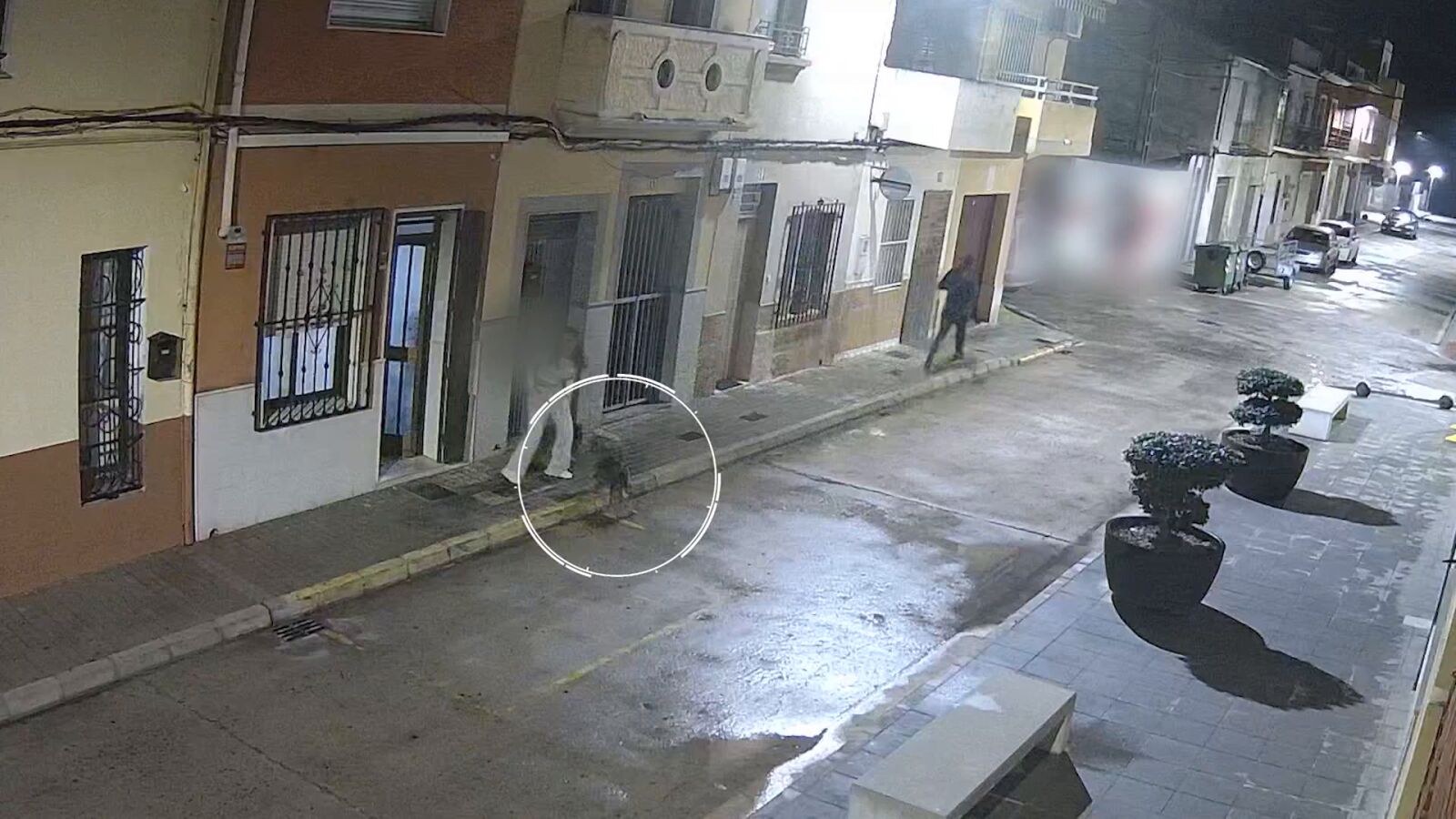 Los perros de una mujer evitaron su secuestro: mordieron a un atacante y propiciaron su detención