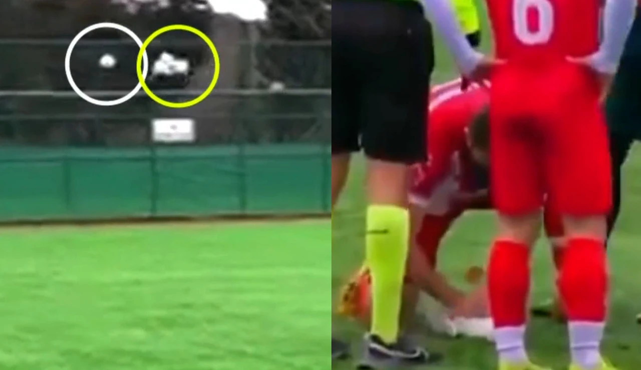 Momento del balonazo a una gaviota en Turquía