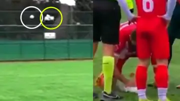 Momento del balonazo a una gaviota en Turquía Momento del balonazo a una gaviota en Turquía