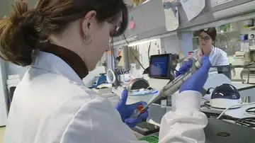 Científicos Científicos