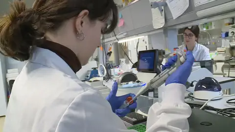 Científicos Científicos