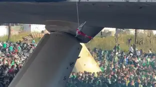 Ultras del Betis cuelgan un conejo de un puente Ultras del Betis cuelgan un conejo de un puente